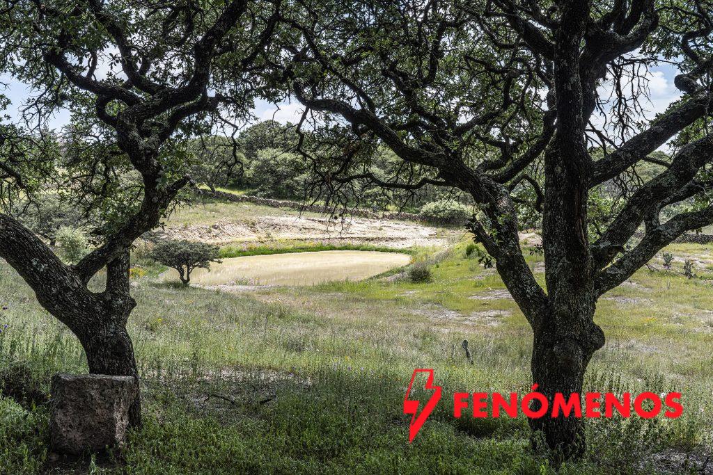 Fomentan la conservación de las Áreas Naturales Protegidas