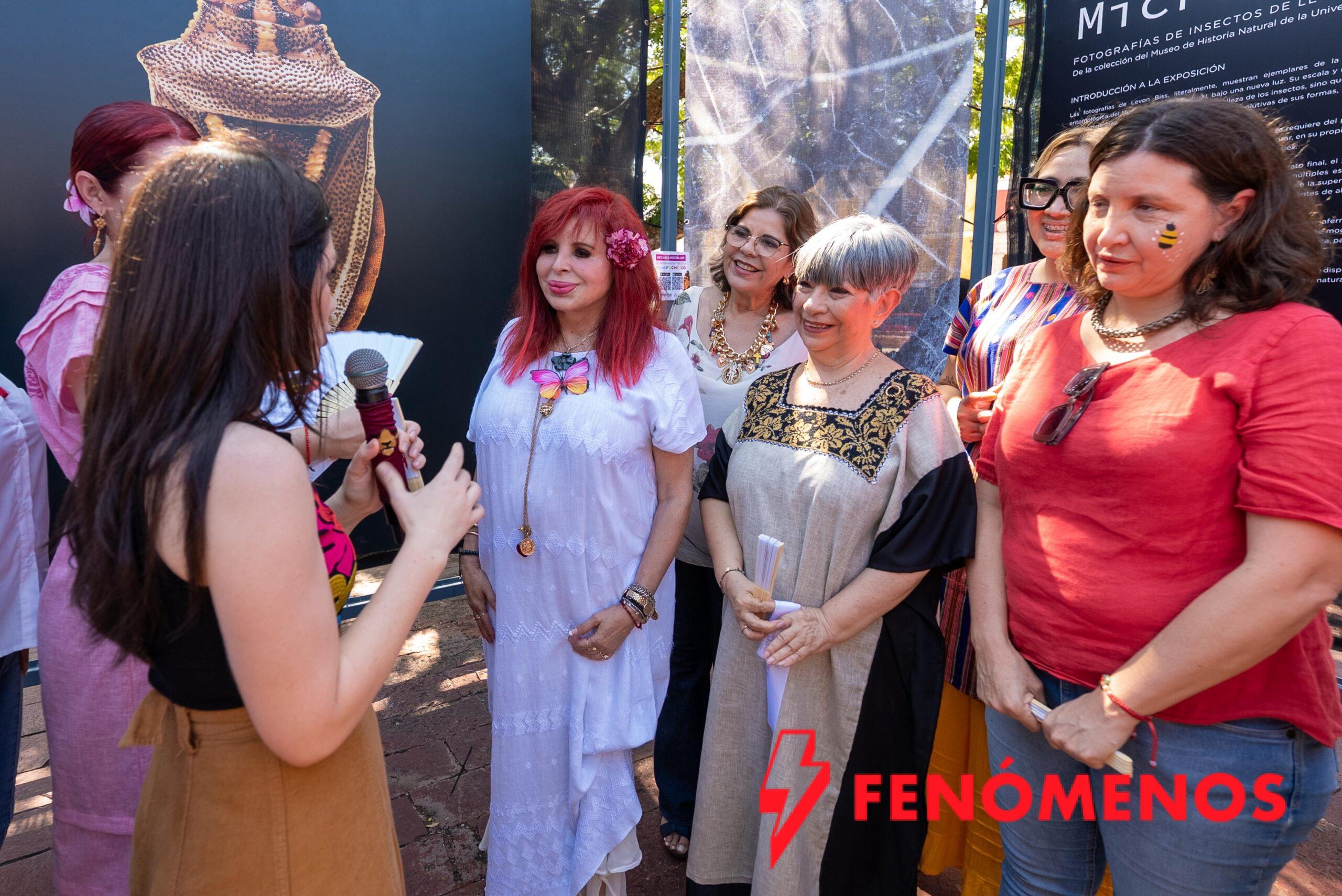 CIENCIA, ARTE Y CULTURA SE MEZCLAN EN LA EXPOSICIÓN “INSECTUS” INAUGURADA HOY POR LA GOBERNADORA LAYDA SANSORES SAN ROMÁN EN EL PARQUE PRINCIPAL