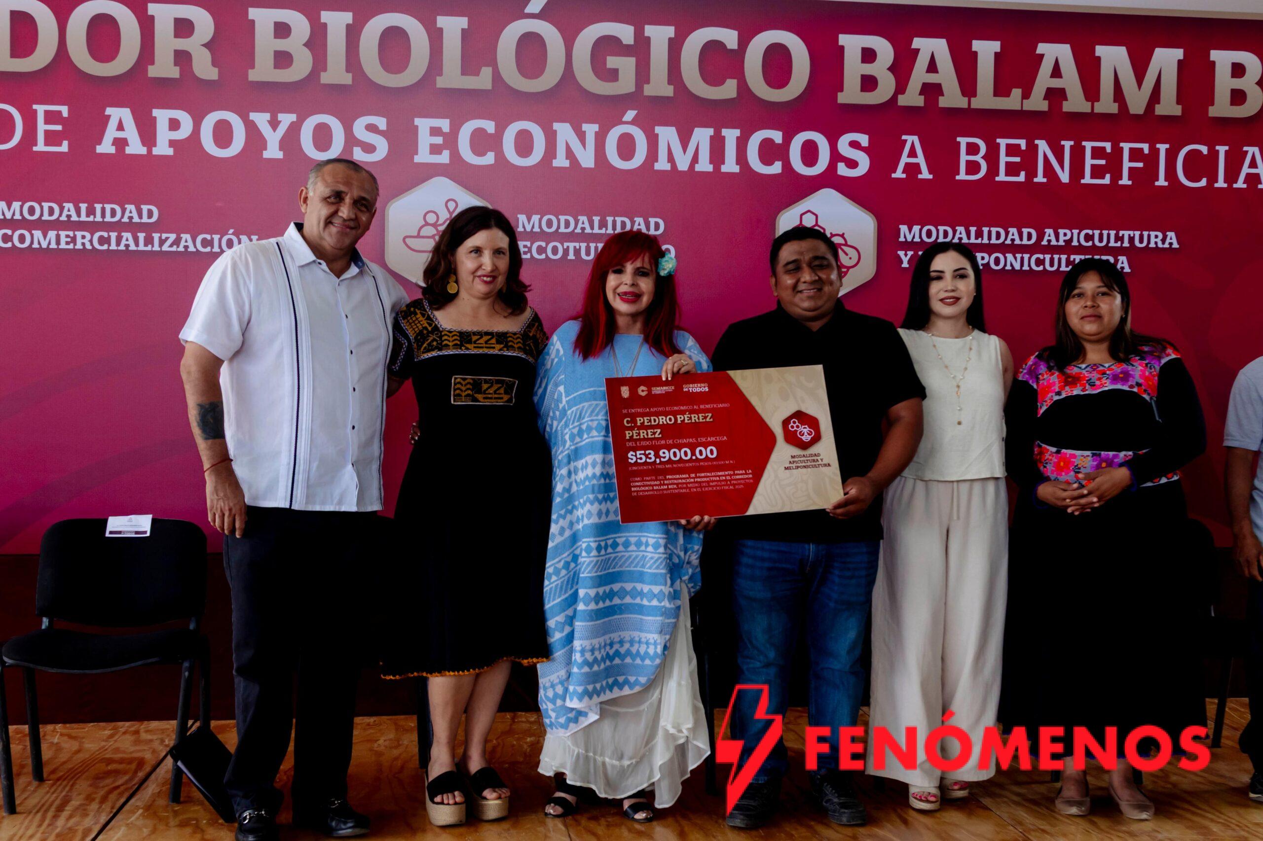 GOBERNADORA, LAYDA SANSORES SAN ROMÁN, ENCABEZA ENTREGA DE APOYOS PARA FORTALECER LA PRODUCCIÓN SUSTENTABLE EN EL CORREDOR BIOLÓGICO BALAM BEH