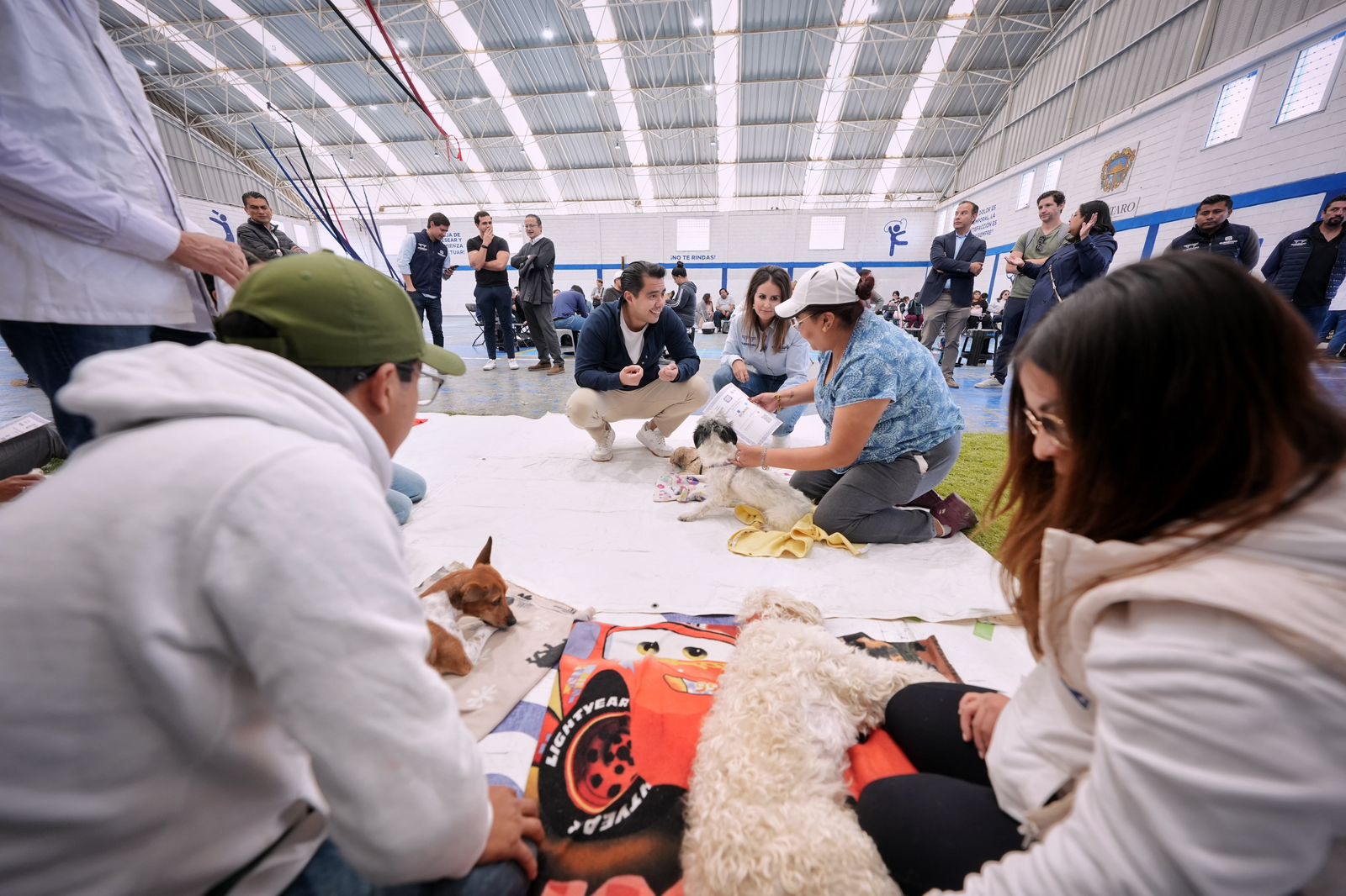 Imagen de Firma Felifer Macías convenio de colaboración entre el municipio de Querétaro y Mars Petcare México 16
