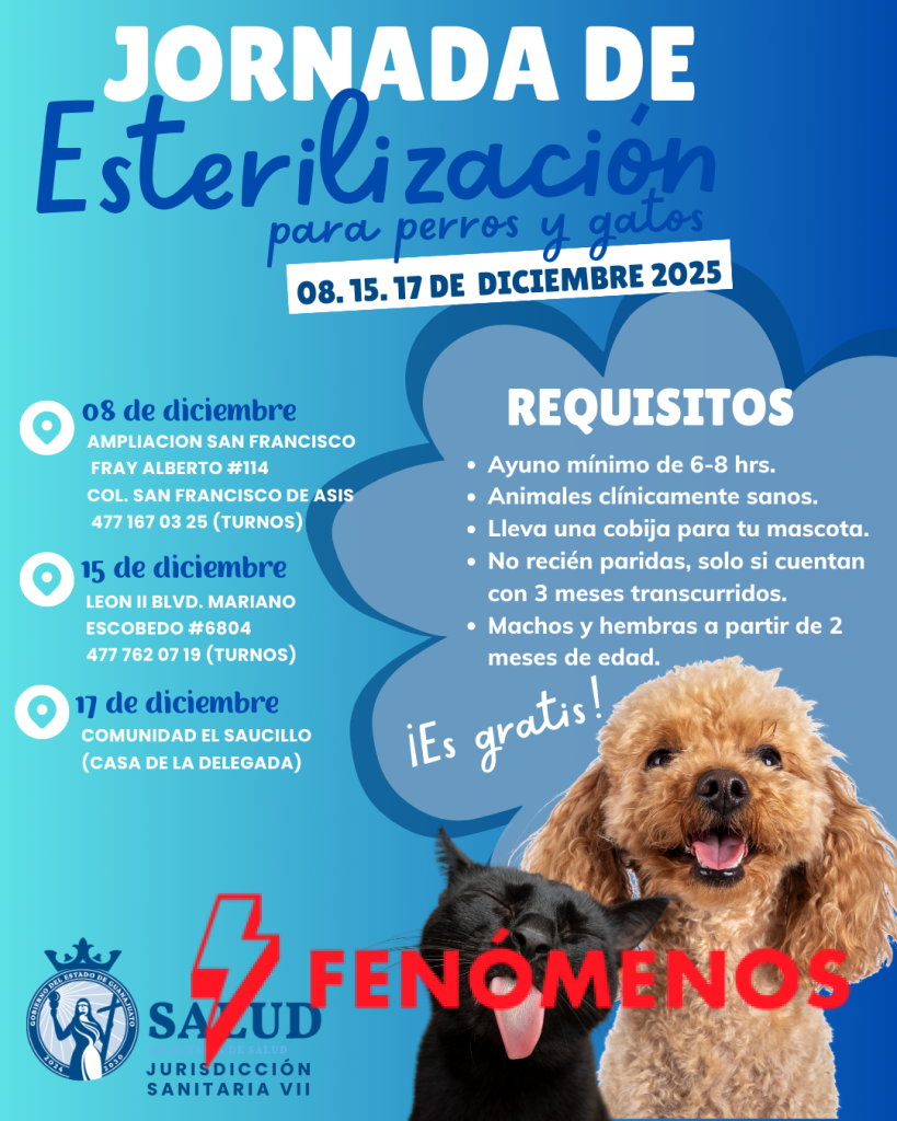 SSG anuncia campaña gratuita de esterilizaciones de perros y gatos.