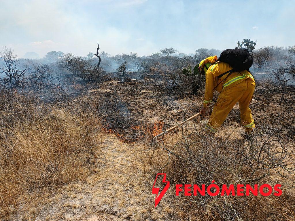 Coordinación que salva vidas: pide Secretaría de Seguridad y Paz a municipios  fortalecer prevención de incendios 