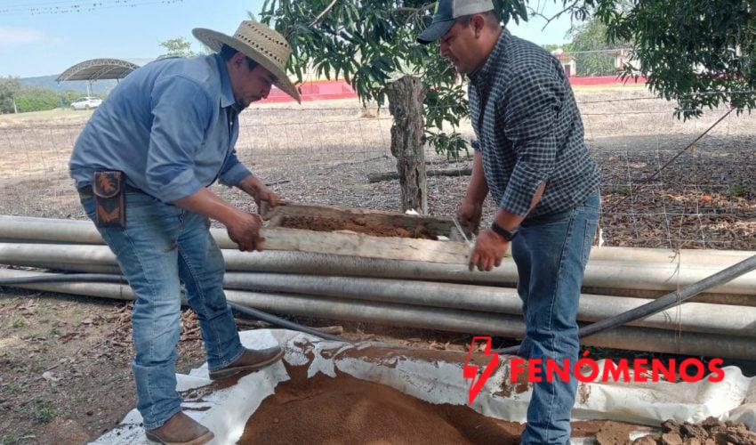 Promueven producción y uso de lixiviados en Xicoténcatl