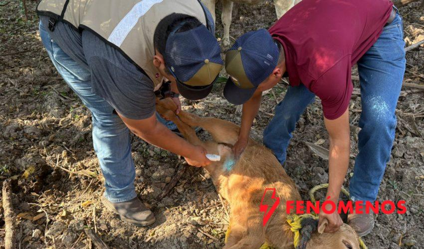 Acción inmediata y coordinación interinstitucional ante caso de GBG en Tamaulipas