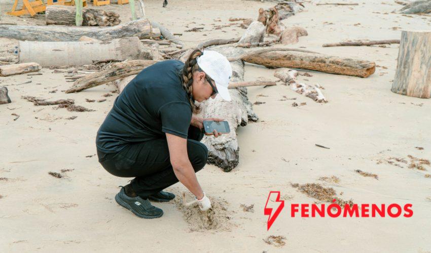 Impulsa turismo limpieza permanente de las playas