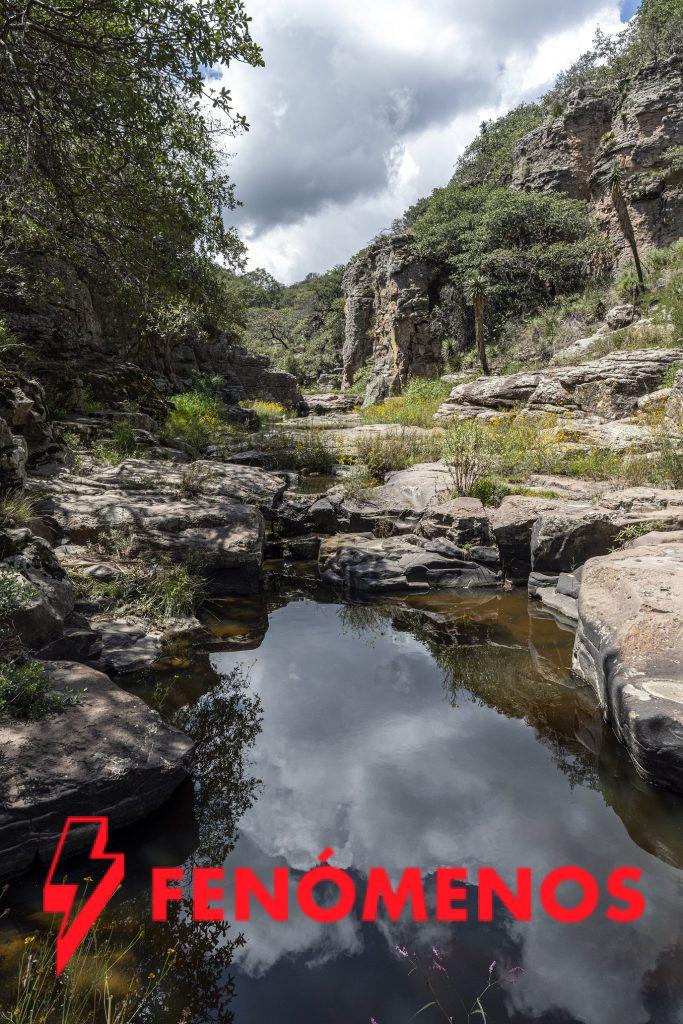  Desarrollan acciones y estrategias por la conservación de las Áreas Naturales Protegidas del Estado de Guanajuato