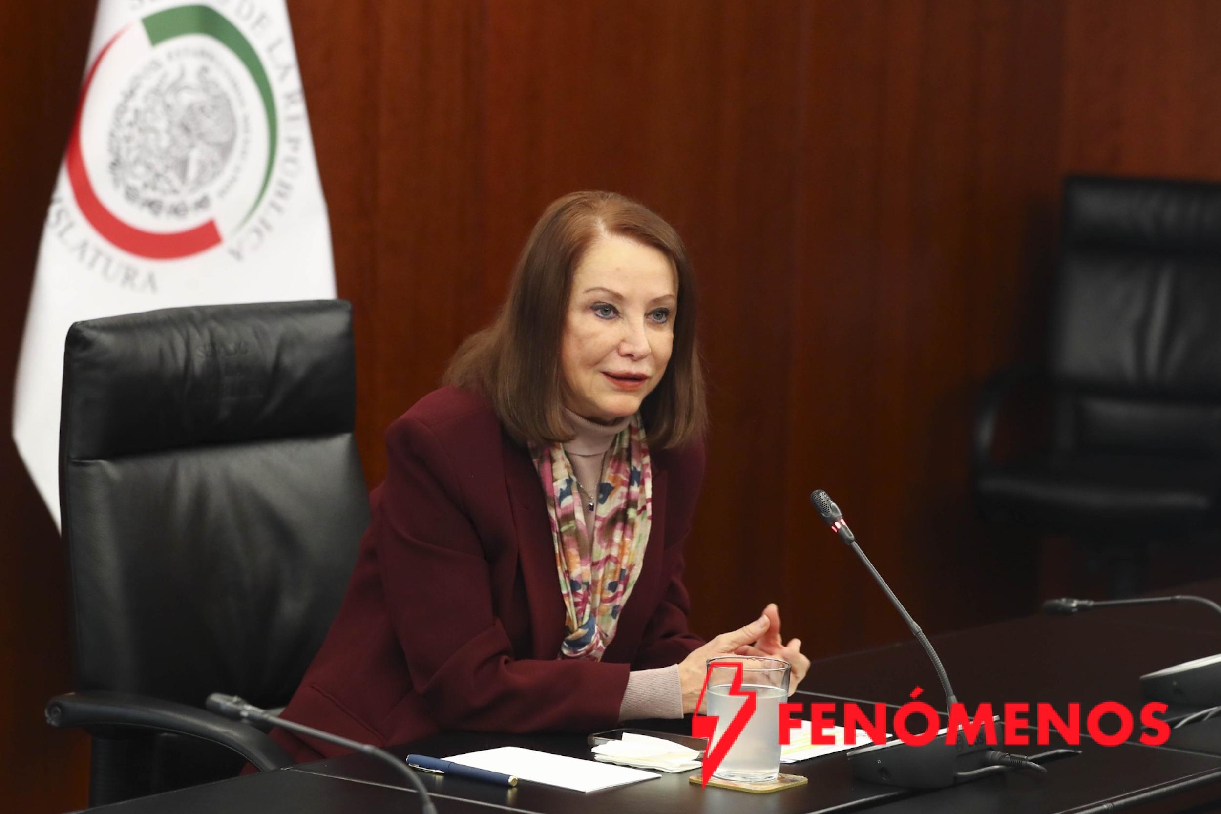 Reforma garantizará independencia y autonomía del órgano electoral: Laura Itzel Castillo Juárez