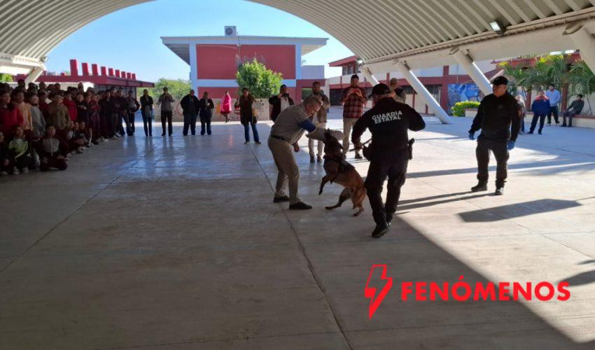 Guardia Estatal refuerza seguridad escolar con binomio canino