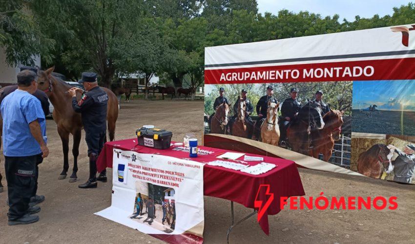 Implementa Guardia Estatal campaña permanente contra gusano barrenador en animales policiales