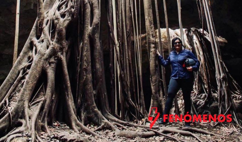 Turismo internacional en ascenso sostenido: Sectur