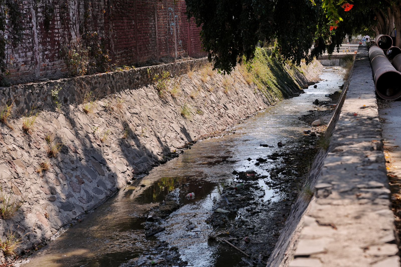 Imagen de Supervisa Felifer Macías obra clave de prevención pluvial en Peñuelas 16