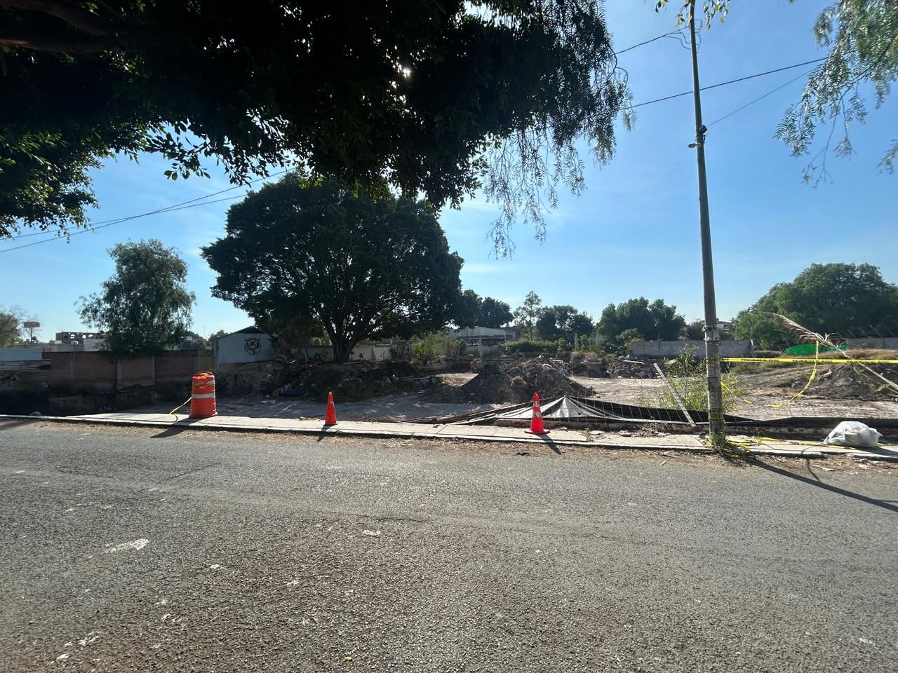 Imagen de Municipio de Querétaro atiende denuncia ciudadana por posible afectación a árbol en Las Teresas 3