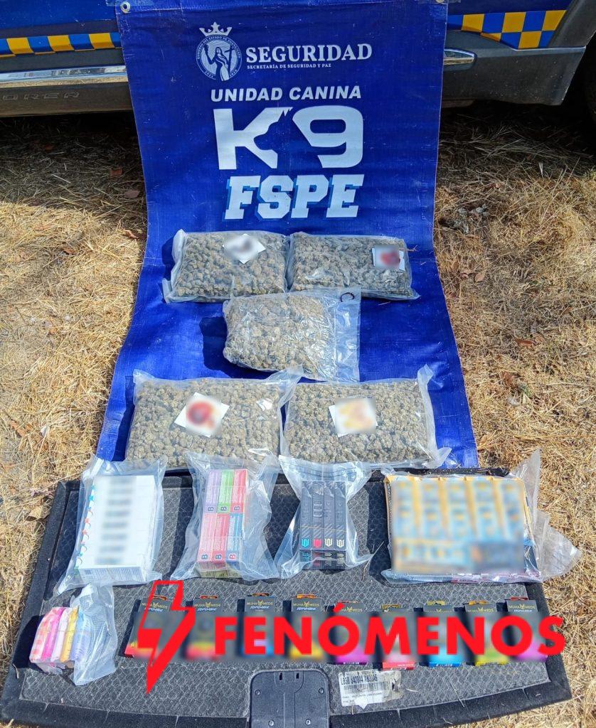 Asegura Unidad K9 vapeadores con marihuana en León