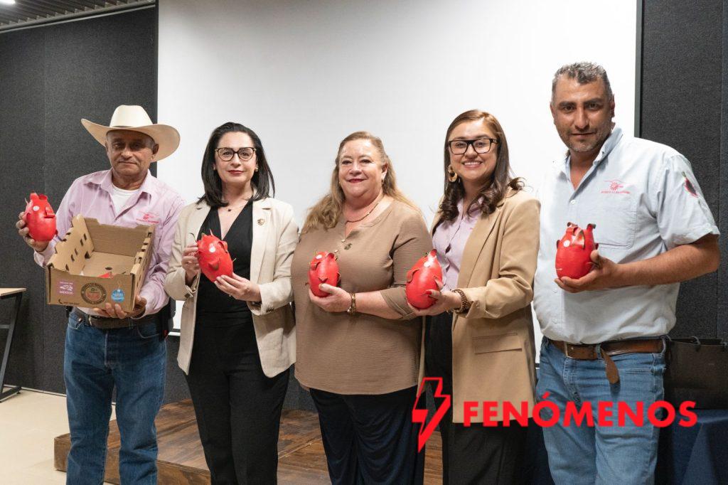 Gobierno de la Gente prepara a empresas Marca Guanajuato para su proyección internacional rumbo a FOODEX Japón 2026