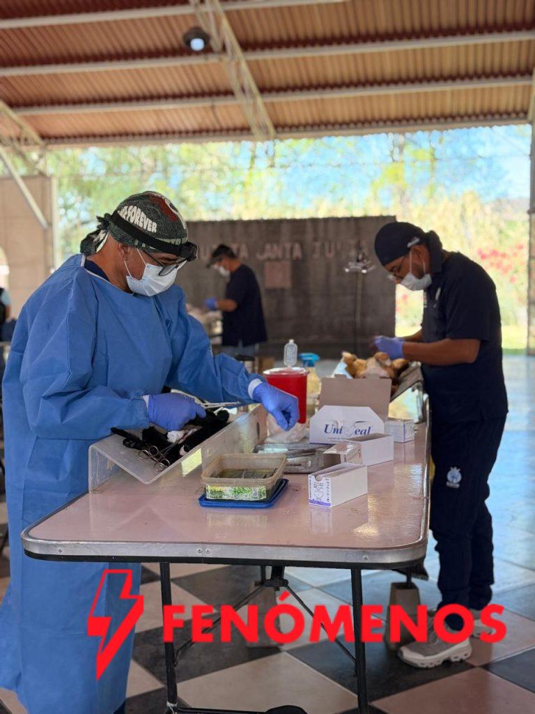 SSG realizó con éxito la esterilización masiva canina y felina en el municipio de Jerécuaro.