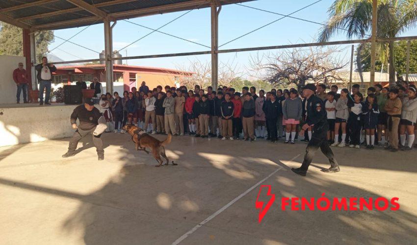 Con binomio canino antidrogas la Guardia Estatal refuerza la prevención en escuelas