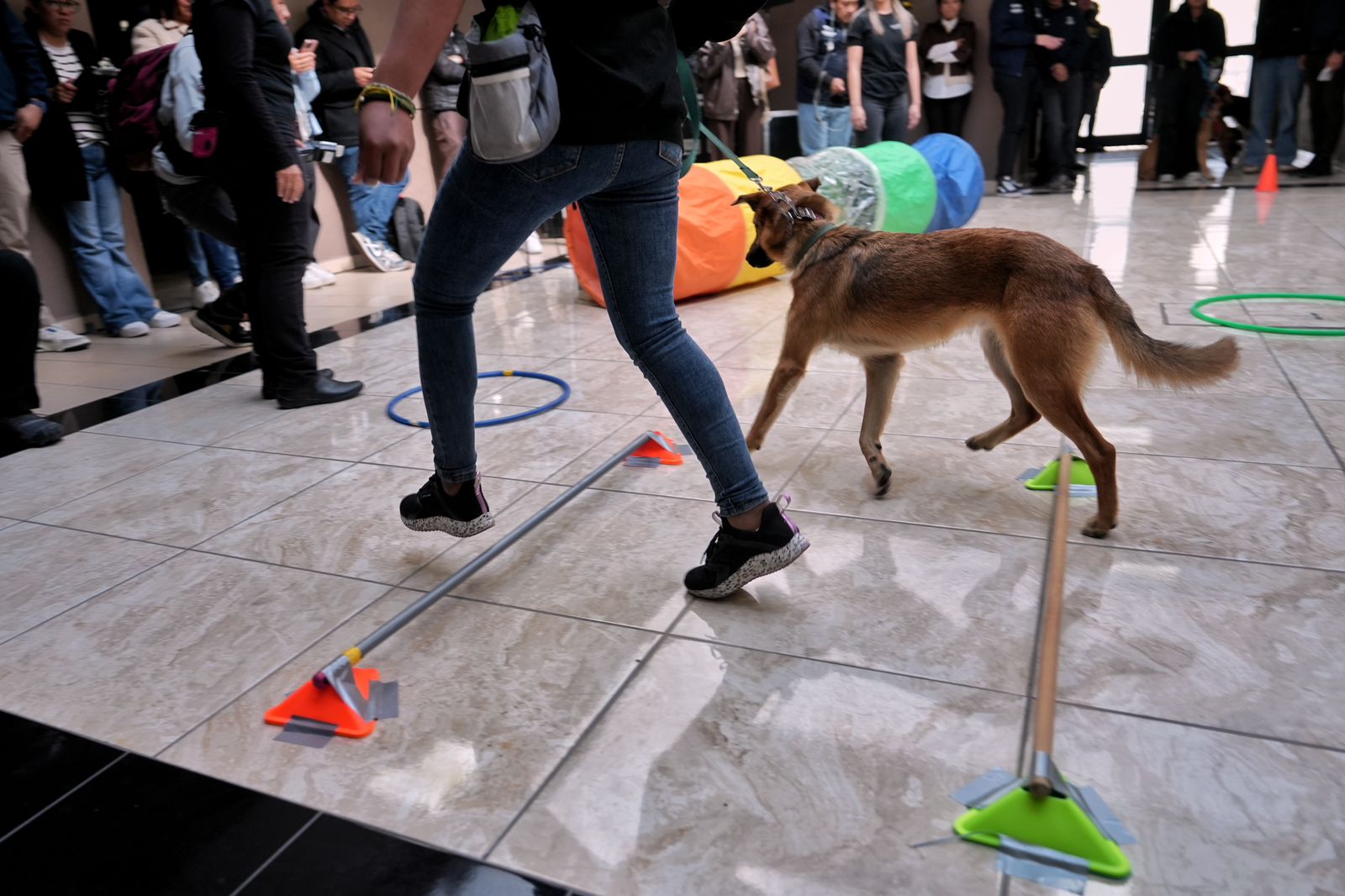 Imagen de Acude Felifer Macías al Cierre del Primer Taller de Entrenamiento de Perros 16