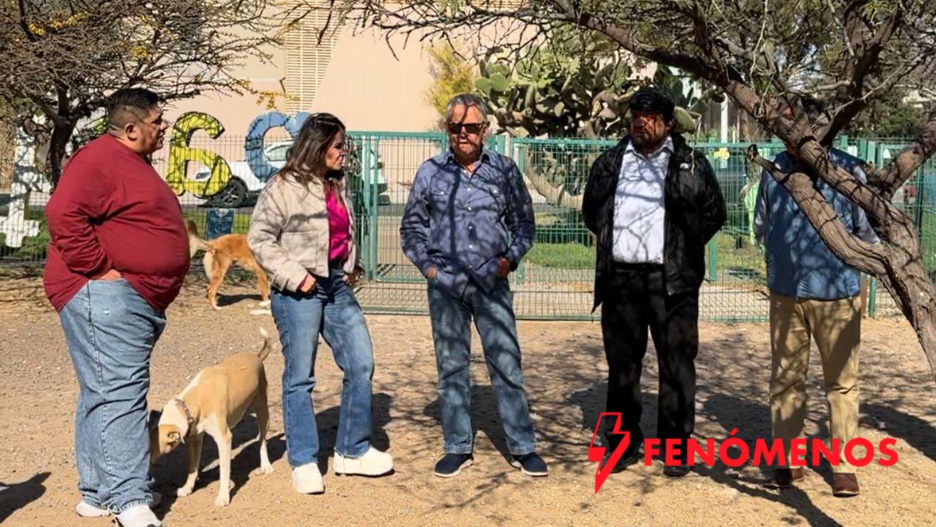 Municipio de Querétaro realiza acciones permanentes de bienestar animal