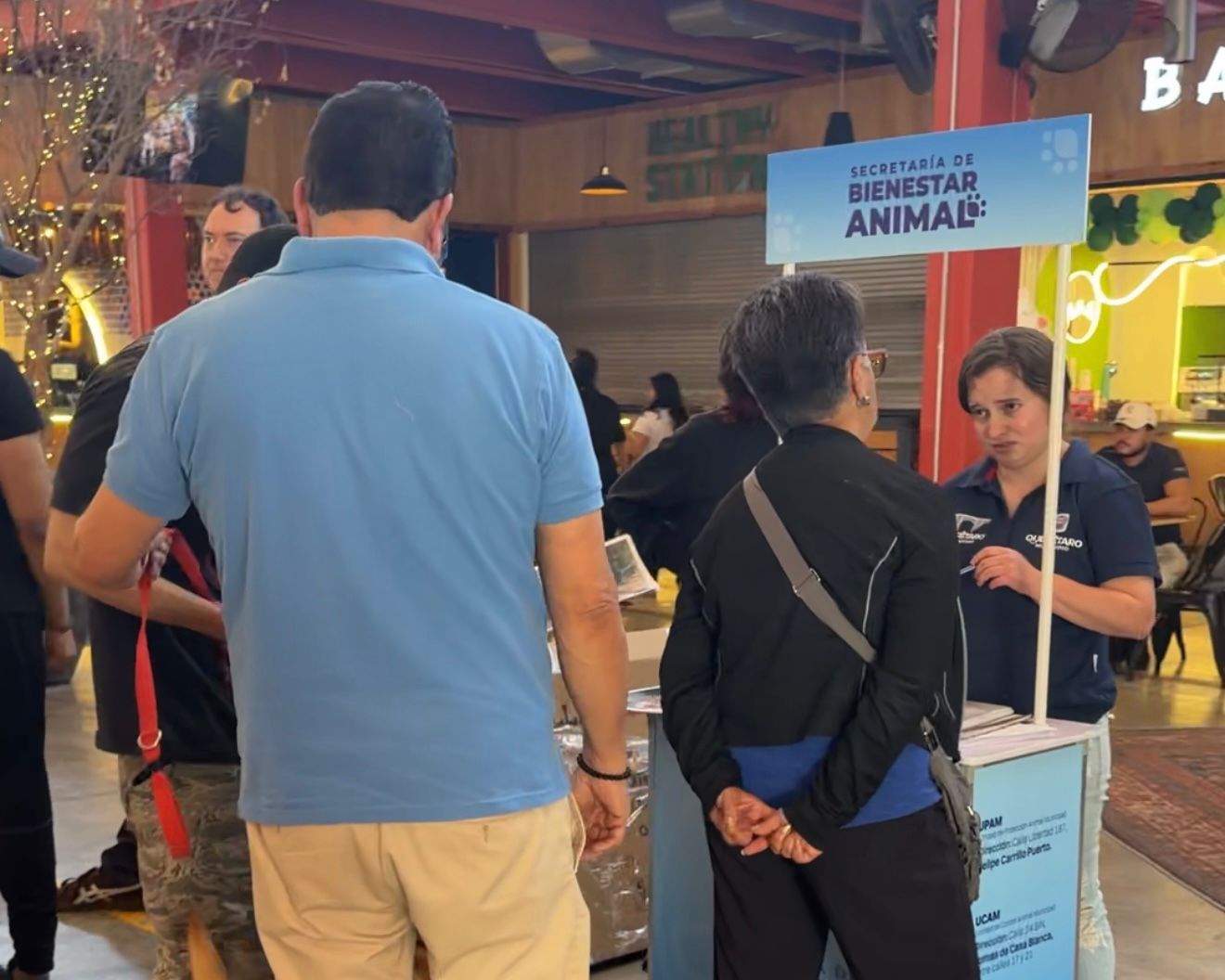 Imagen de Municipio de Querétaro realiza acciones permanentes de bienestar animal 2