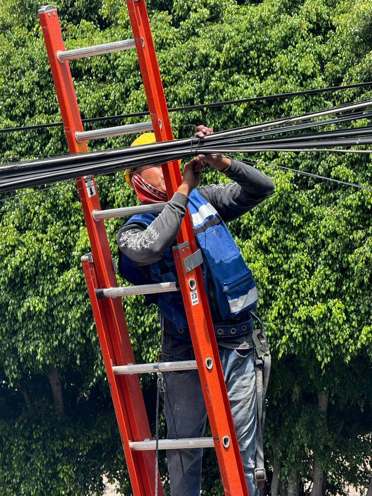WhatsApp Image 2026-02-16 at 9.52.37 AM (1) Imagen de Continúa en 2026 el retiro de cableado en desuso para fortalecer el orden y la seguridad vial en el municipio 7