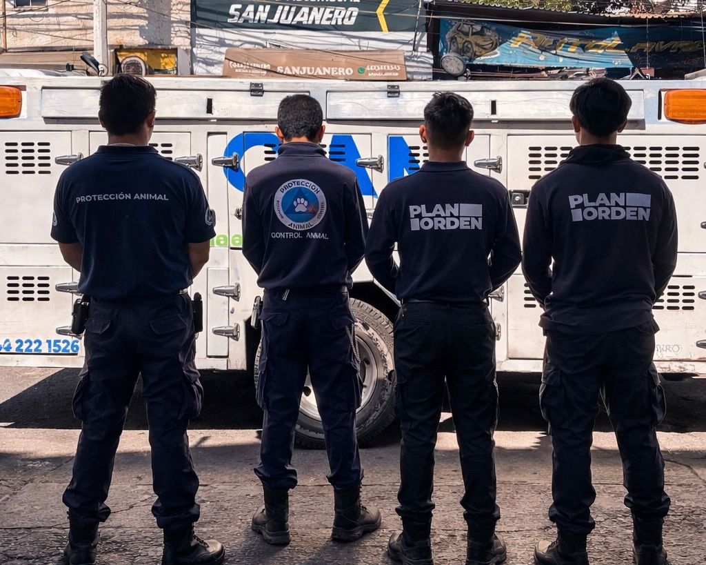 Imagen de Municipio de Querétaro mantiene acciones permanentes para el cuidado y adopción de perros y gatos 6