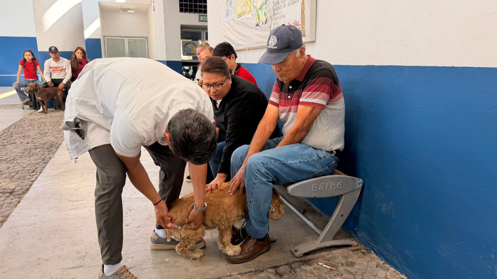 Imagen de Acerca Municipio de Querétaro Feria de Bienestar Animal a Cayetano Rubio 2