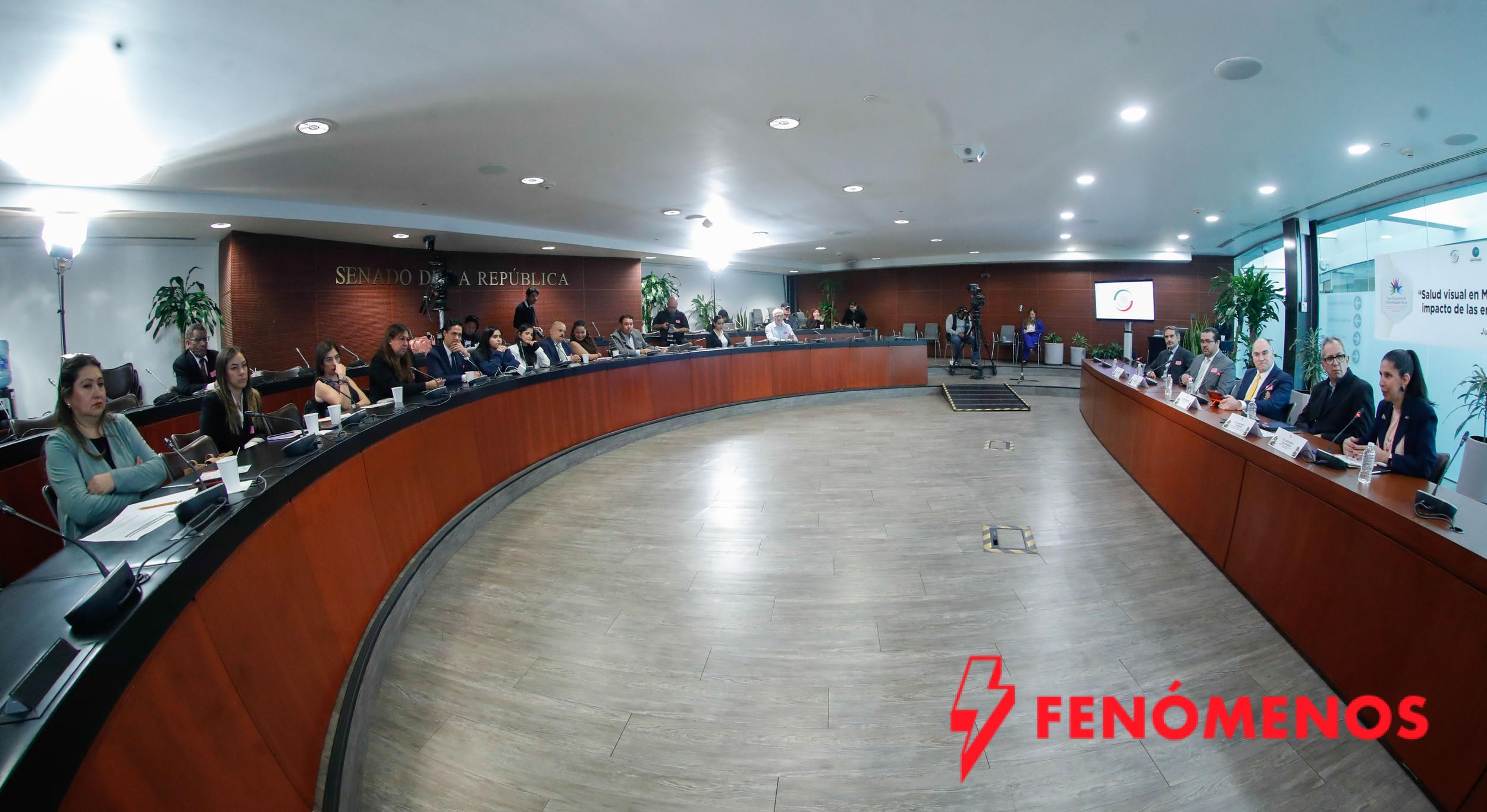 Demandan incorporar la atención de las enfermedades raras con afectación ocular, como parte del derecho a la salud  