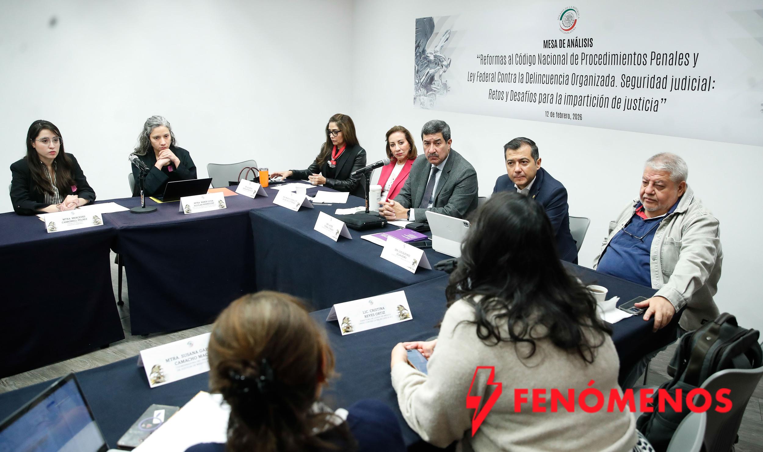 Senadores y especialistas analizan alcances de la figura de los jueces con identidad reservada