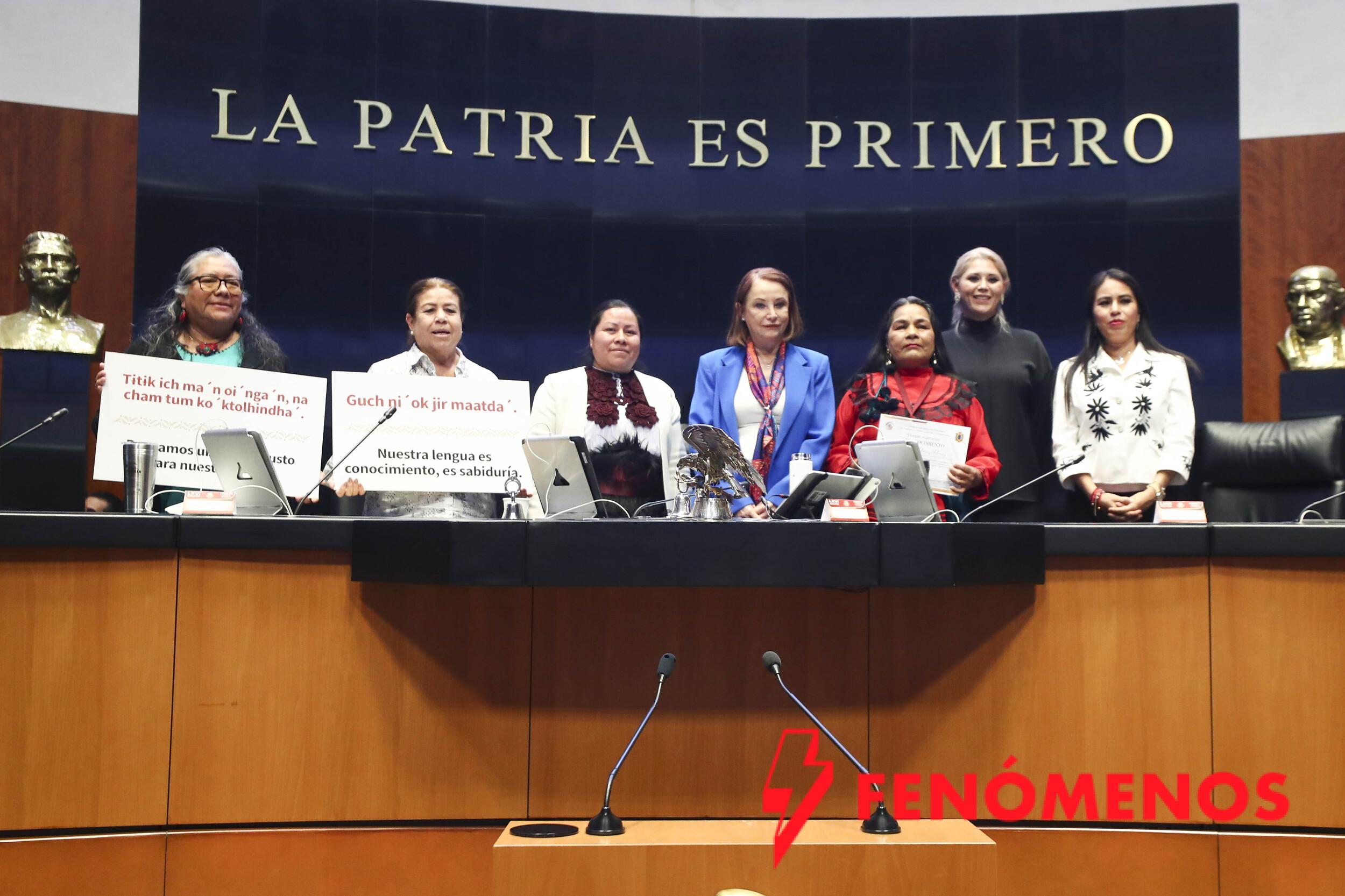 Reconocimiento de lenguas maternas fortalece la diversidad cultural de México, subraya Laura Itzel Castillo Juárez