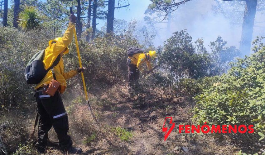 Avanza al 70 % el control del incendio forestal “Puerto del Volcán” en Miquihuana