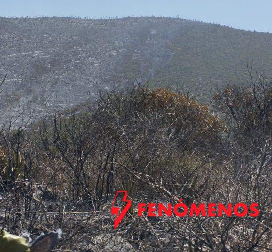 Inician labores de combate en incendio forestal en el ejido Joya de Herrera, Bustamante