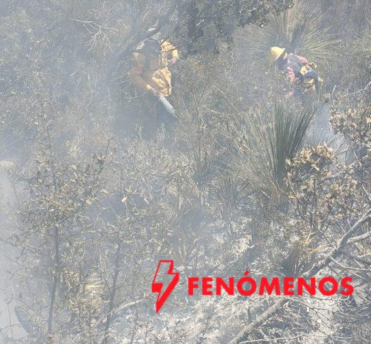 Continúan labores para el control y liquidación de incendio forestal en el Cerro El Tepozán