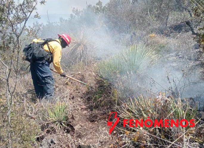Tamaulipas logra la liquidación total del incendio forestal en Bustamante