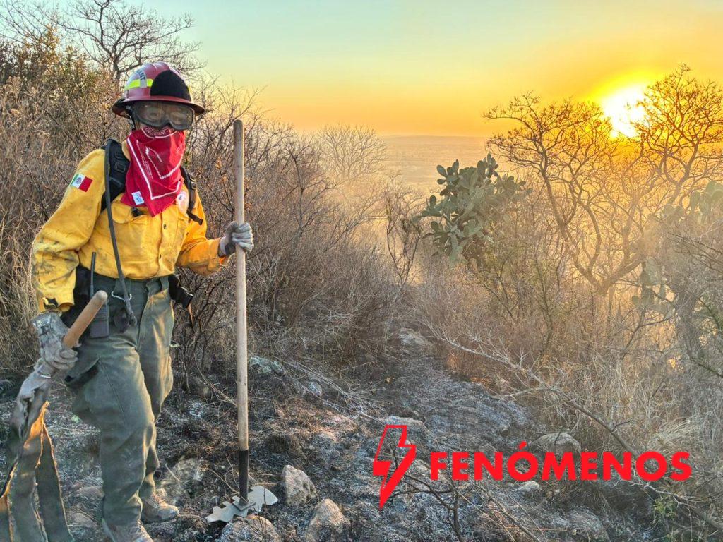 Crece matrícula de mujeres en carreras relacionadas a la ciencia, tecnología e ingenierías