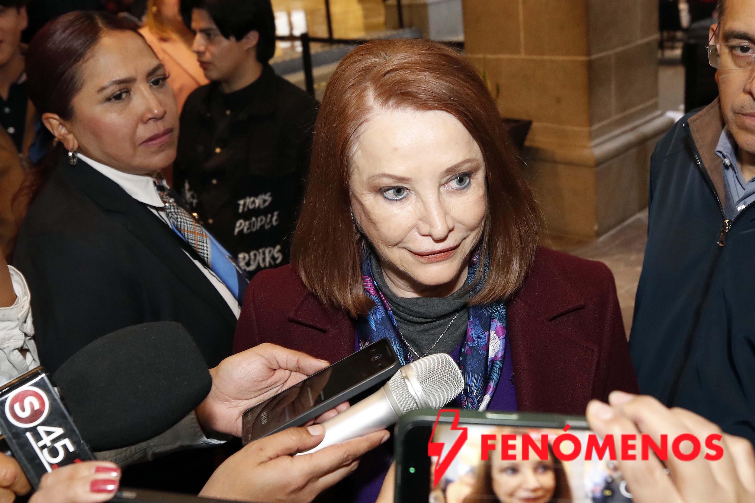 Laura Itzel Castillo llama a “no cerrar los caminos” para aprobar la reforma electoral