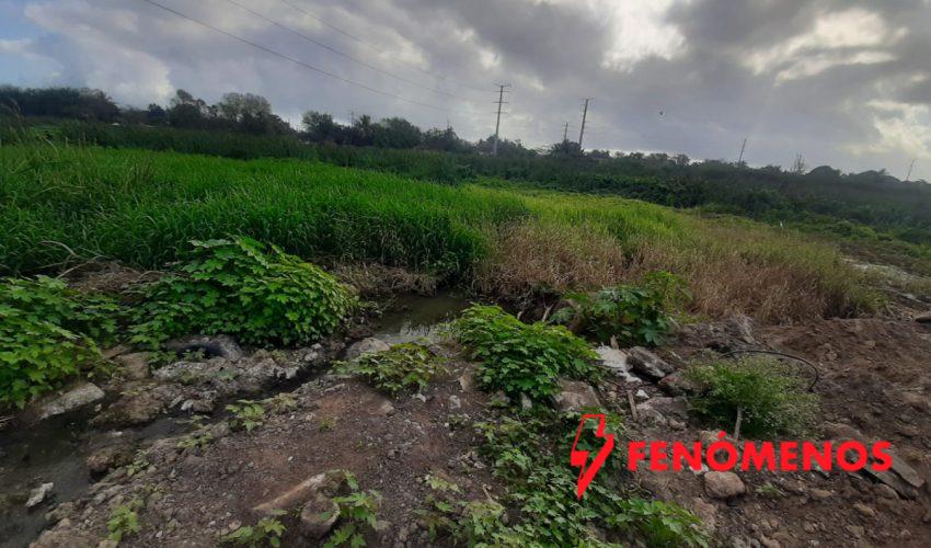 Interviene la PAUT ante presunto relleno de la Laguna Tierra Negra de Madero