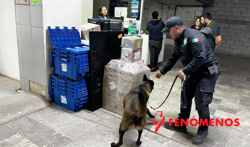 Realiza Agrupamiento Canino de la Guardia Estatal operativo para detectar narcóticos en Central de Autobuses