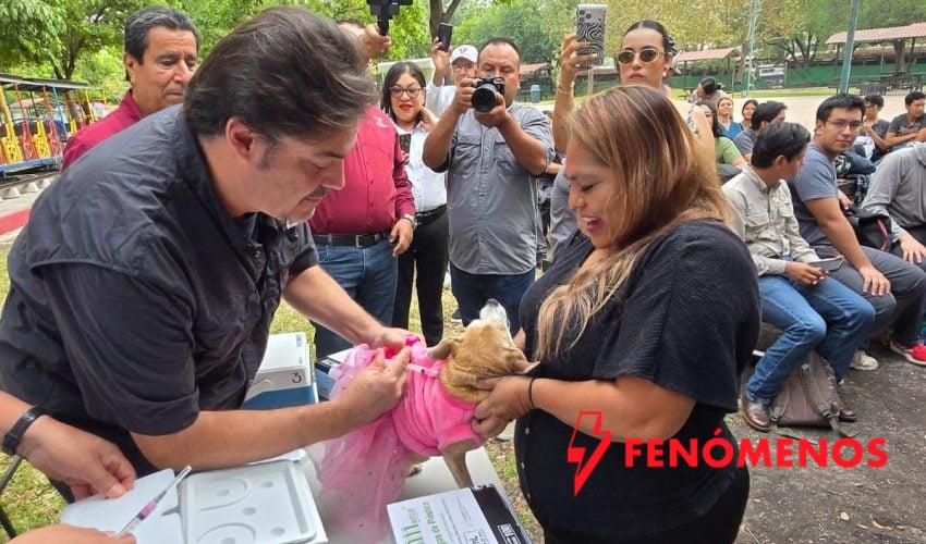 Aplicará Salud 345 mil dosis en campaña de vacunación antirrábica