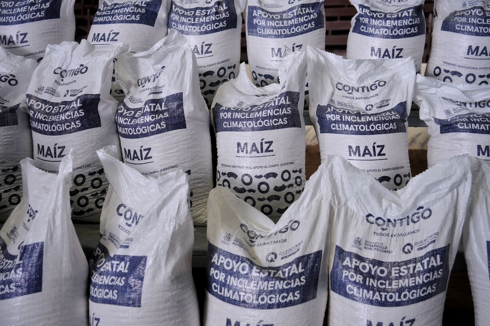 Imagen de Entrega Felifer Macías equipamiento del programa Municipalizado 8