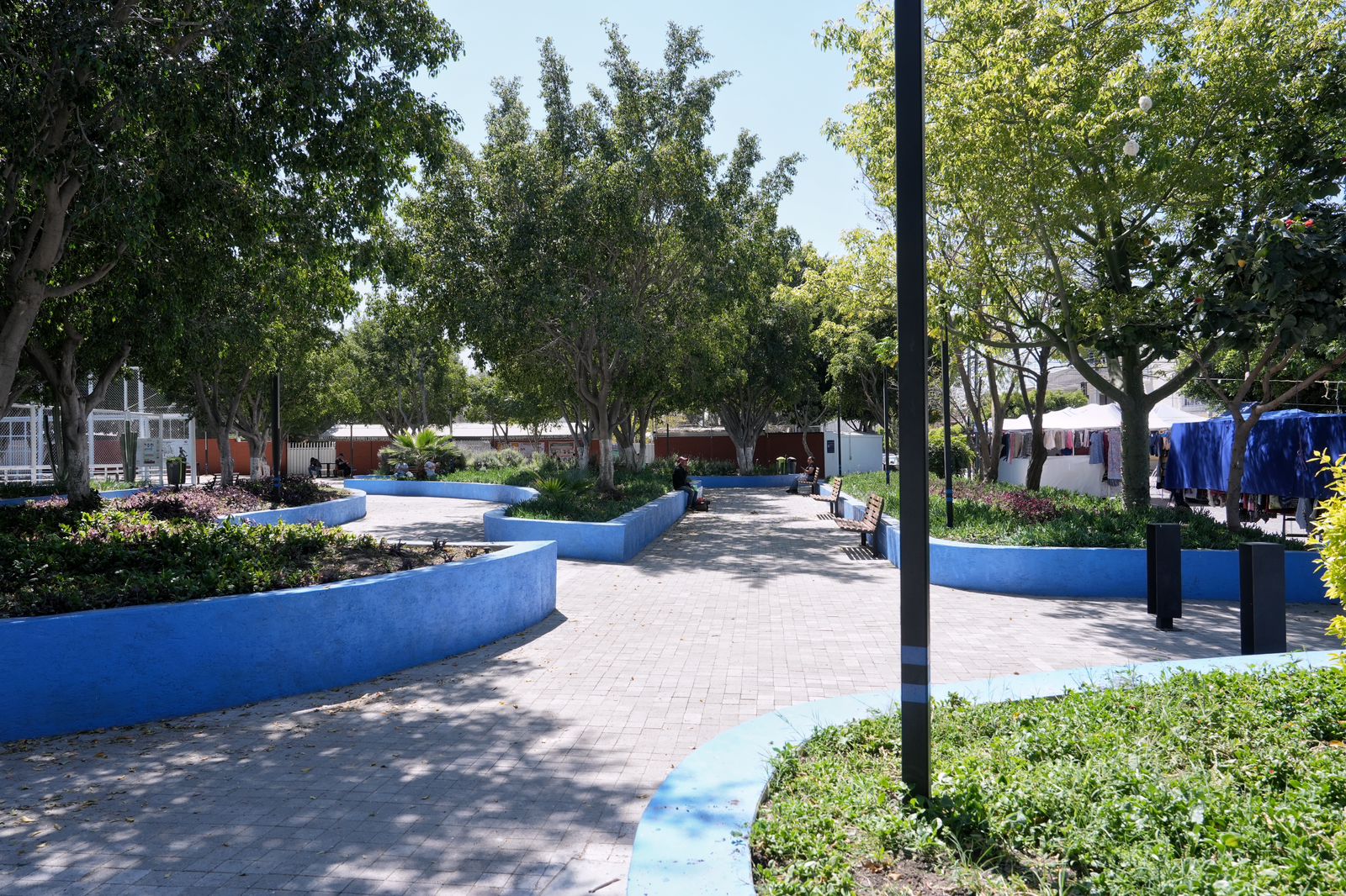 Imagen de Entrega Felifer Macías rehabilitación del parque en la colonia Las Plazas 19