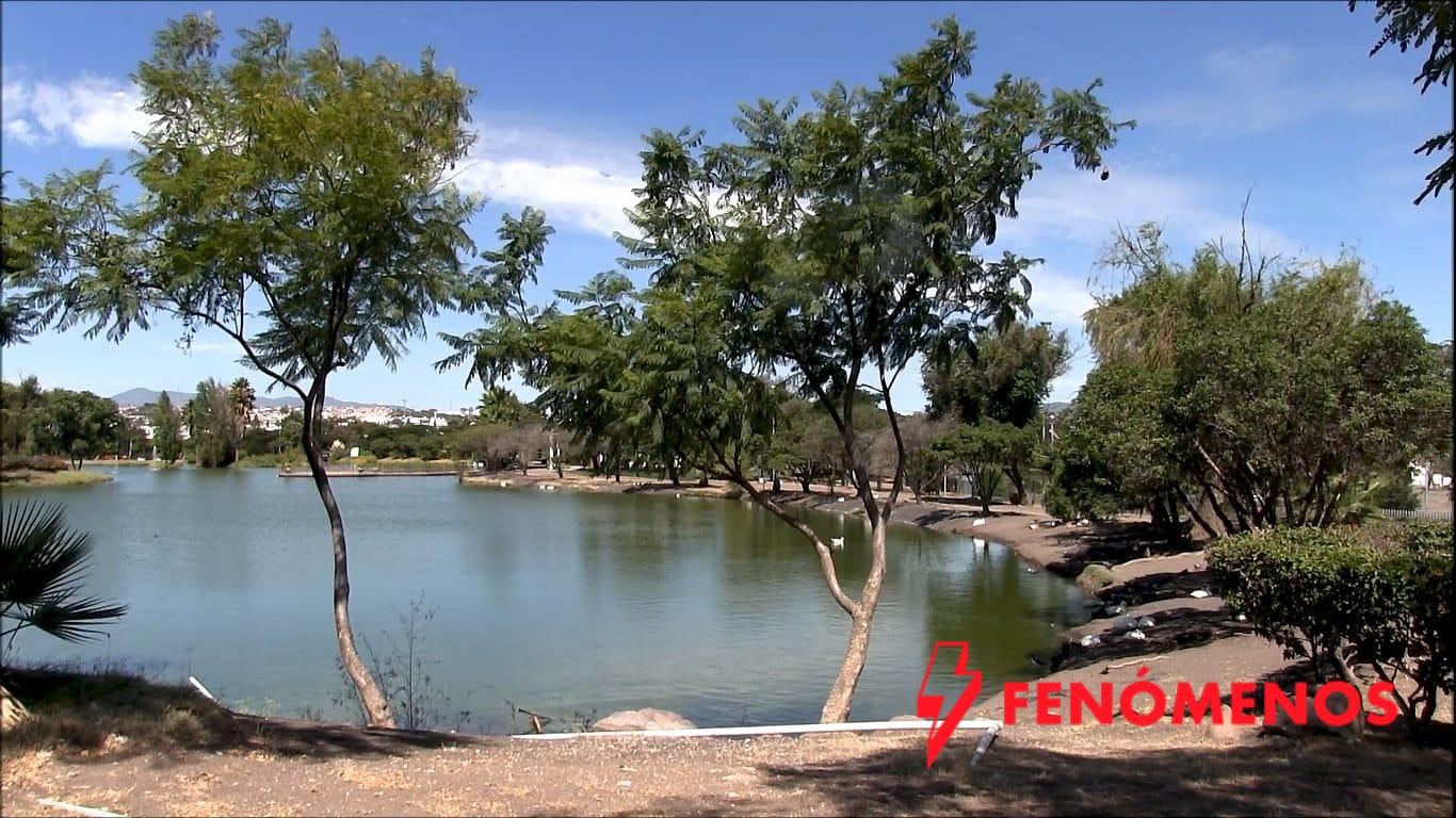 Invita Felifer Macías a celebrar el Día Mundial del Agua en el parque La Queretana