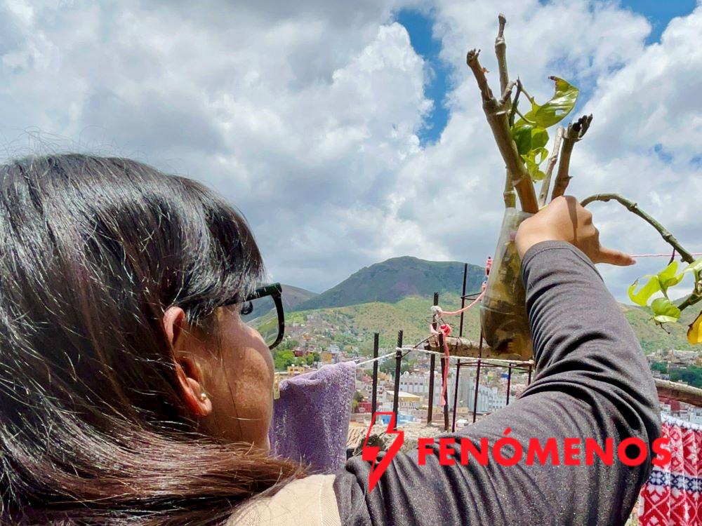 SSG disminuyen casos de dengue este 2026 en relación con el año pasado.