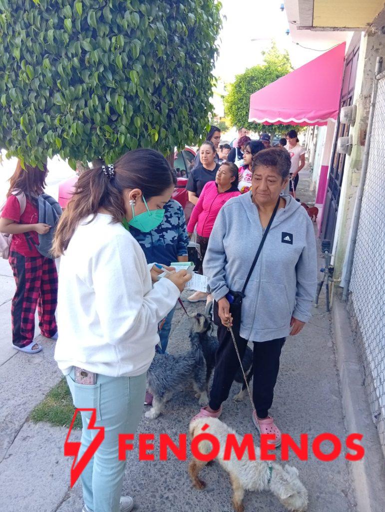 SSG desarrolla la Jornada de Vacunación Antirrábica Canina y Felina del 22 al 28 de marzo.