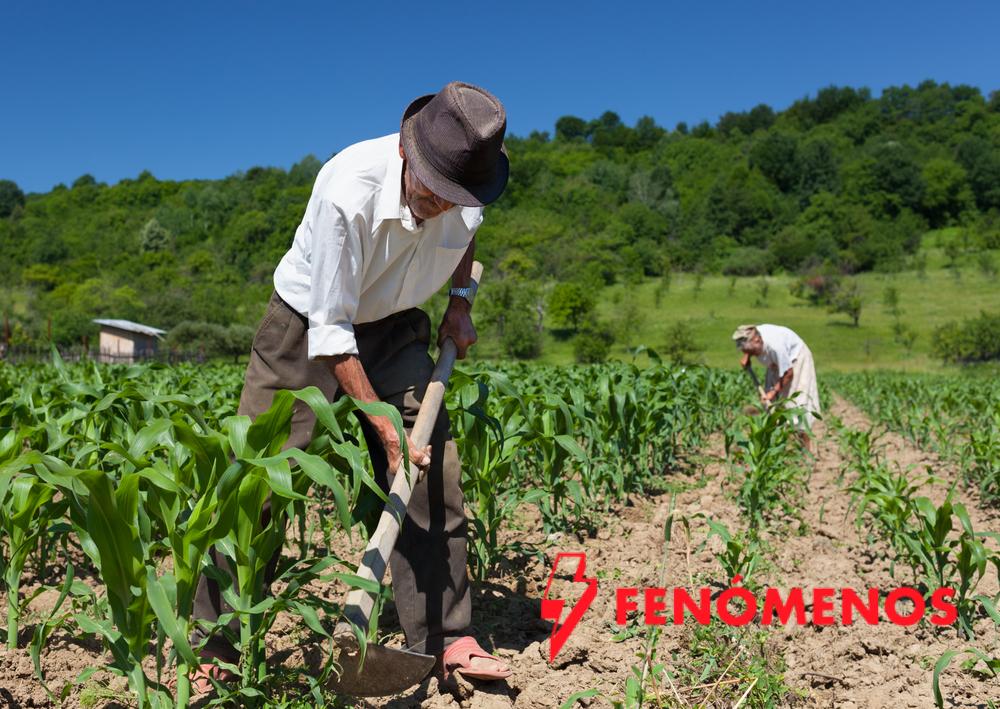 Senado de la República recibe iniciativa del Ejecutivo para fortalecer al campo mexicano