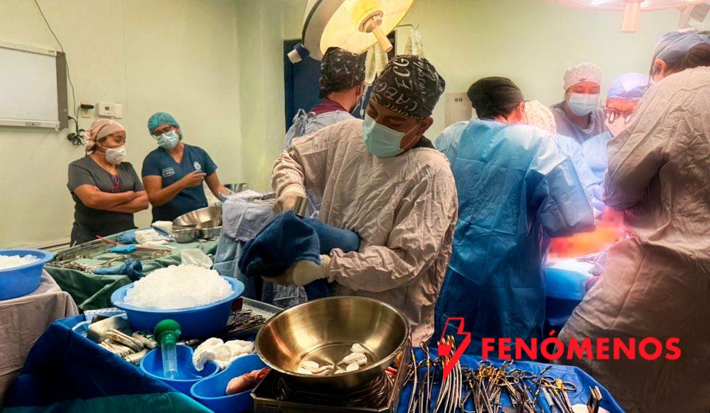 SSG crecen “héroes donadores de vida” en Guanajuato.