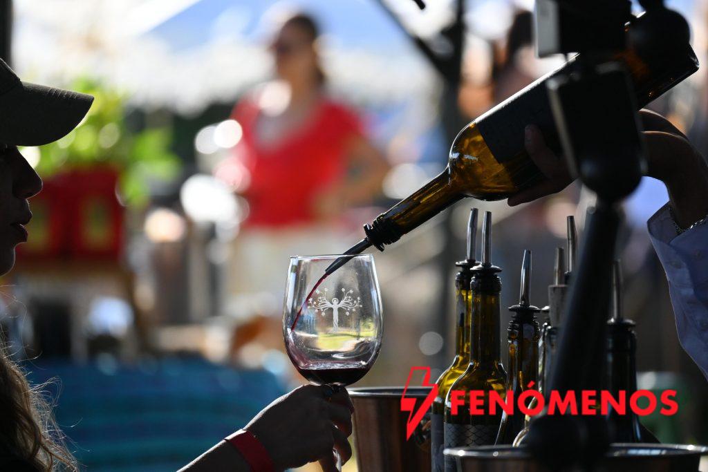 Guanajuato lidera a México en Bacchus 2026