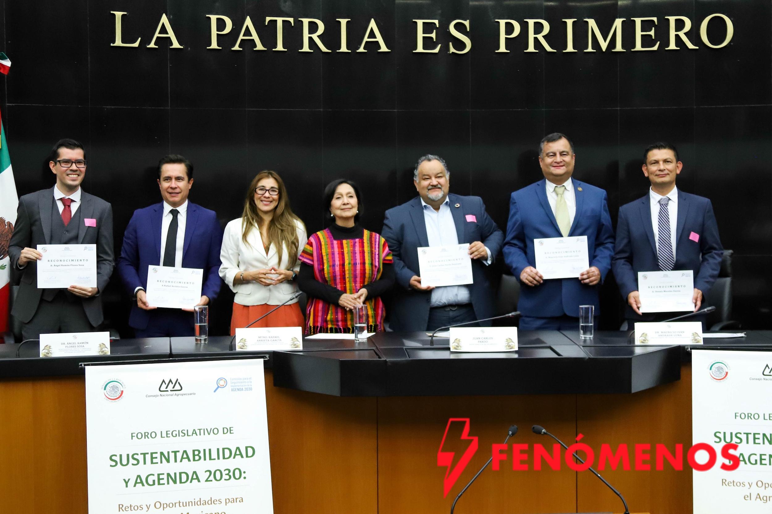 Amalia García llama a brindar condiciones específicas para apoyar al campo y garantizar la alimentación