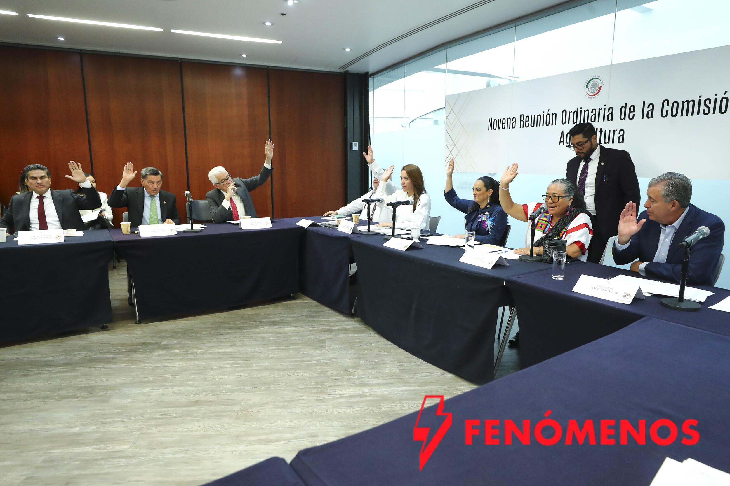 Aprueba Comisión de Agricultura un dictamen para impulsar a las mujeres campesinas y jornaleras