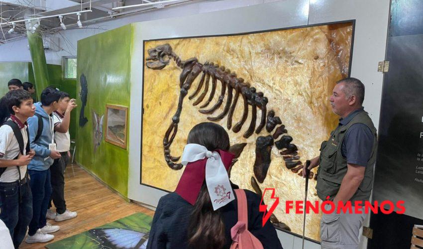 Celebran a la niñez tamaulipeca con acceso gratuito a parques estatales