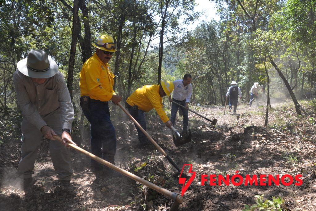 Fortalecen la prevención de incendios forestales